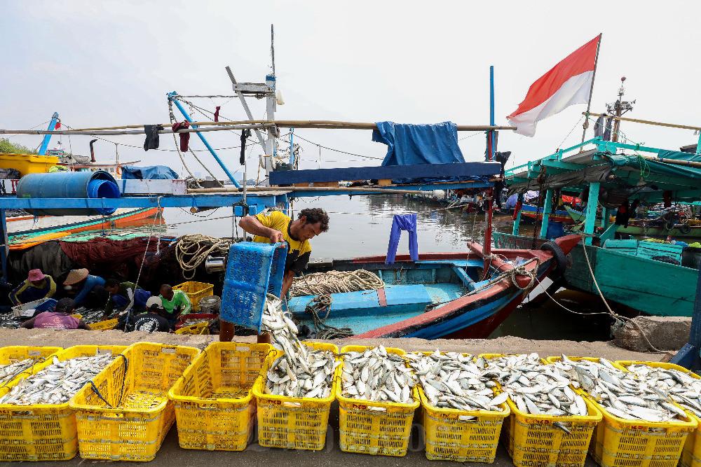 Jalur Ekspor Langsung via Bandara Sepinggan Dongkrak Perdagangan Udang Windu Kaltim