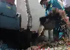 Ekspansi Hijau, Chandra Asri dan Bakrie & Brothers Masuk ke Bisnis Pengolahan Sampah Menjadi Listrik