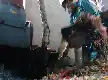 Ekspansi Hijau, Chandra Asri dan Bakrie & Brothers Masuk ke Bisnis Pengolahan Sampah Menjadi Listrik