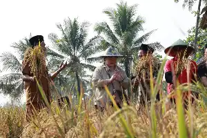 Dorong Kemandirian Pangan, PBNU Sukses Terapkan Teknologi Bionutrient di Banten