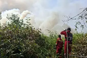 Tanggulangi Belasan Ribu Kasus ISPA Akibat Karhutla, Kemenkes Mobilisasi Ratusan Tenaga Medis ke Tujuh Provinsi