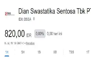 DSSA Pacu Akselerasi Ekosistem Digital dan Transisi Energi Bersih Nasional