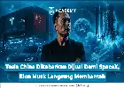 Elon Musk Tepis Rumor Divestasi Tesla China Demi Rencana Merger dengan SpaceX