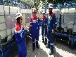 Kurangi Emisi Karbon Sektor Migas, PHE dan PDC Uji Teknologi Mikroalga di Subang