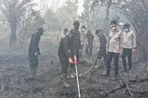 Atasi Kebakaran Gambut Kalteng, Polri Terapkan Inovasi Serbuk Pati Singkong Ramah Lingkungan