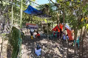 Pascagempa Flores: Relawan UAR NTT Bangun Posko Kesehatan Teduh Beratap Daun Kelapa