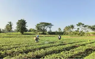 Bukan Gagap Teknologi, Petani Indonesia Terbentur Akses dan Krisis Kepercayaan
