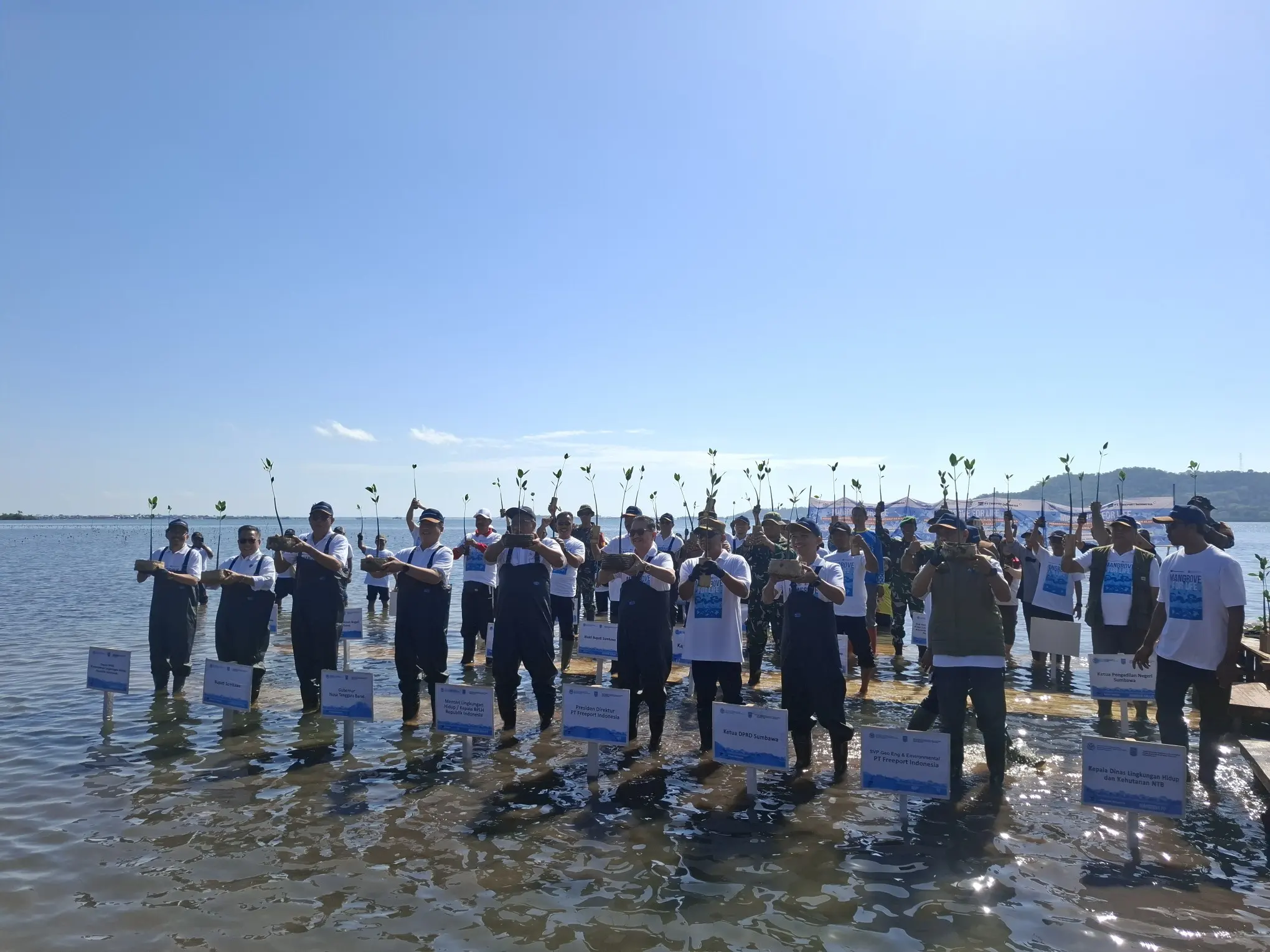 Restorasi Ekosistem Pesisir: Pemerintah dan Sektor Swasta Genjot Pemulihan Mangrove di Sumbawa