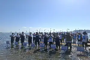 Restorasi Ekosistem Pesisir: Pemerintah dan Sektor Swasta Genjot Pemulihan Mangrove di Sumbawa