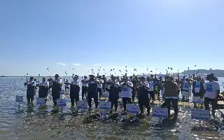 Restorasi Ekosistem Pesisir: Pemerintah dan Sektor Swasta Genjot Pemulihan Mangrove di Sumbawa