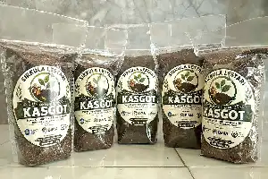 Modernisasi Budidaya Jamur di Pringsewu, Tim Unila Terapkan IoT dan Olah Limbah dengan Maggot