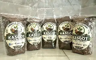 Modernisasi Budidaya Jamur di Pringsewu, Tim Unila Terapkan IoT dan Olah Limbah dengan Maggot
