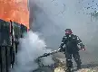 Antisipasi Penyebaran DBD, Kelurahan Margo Mulyo Gelar Fogging Fokus dan Gencarkan Gerakan 3M Plus