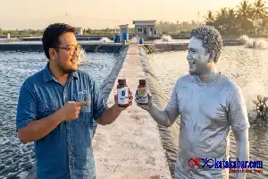 Inovasi Teknologi Nano Pertama di Indonesia Sukses Atasi Penyakit Udang dan Pangkas Biaya Tambak