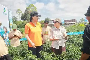 Dorong Regenerasi Sektor Pertanian, Bayer Bekali Petani Muda Magelang dengan Inovasi Teknologi