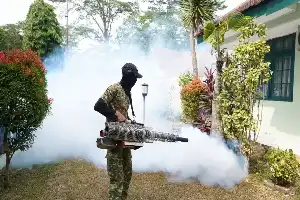 Antisipasi Demam Berdarah, Denma Divif 1 Kostrad Sterilkan Markas Cilodong Lewat Fogging