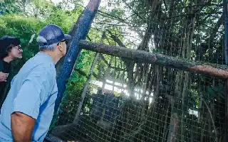 Pemkot Bandung Mulai Hitung Aspek Bisnis Kerja Sama Pengelolaan Kebun Binatang
