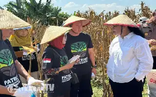 Dorong Ketahanan Pangan, GP Ansor Semarang Sukses Kelola Lahan Produktif