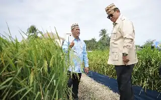 Presiden Prabowo Kagumi Teknologi PM-AAS di Gorontalo, Sebut Mampu Gandakan Produktivitas Padi Nasional
