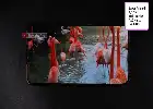 Harga Oppo Reno 12 F 5G Kian Terjangkau di Juli 2026, Masih Jadi Pilihan Favorit di Kelas Menengah