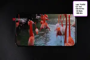 Harga Oppo Reno 12 F 5G Kian Terjangkau di Juli 2026, Masih Jadi Pilihan Favorit di Kelas Menengah