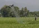 Kementan Dorong Penerapan 'Smart Farming' Lewat Penggunaan Drone Pertanian di Trenggalek