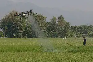 Kementan Dorong Penerapan 'Smart Farming' Lewat Penggunaan Drone Pertanian di Trenggalek