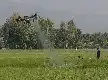 Kementan Dorong Penerapan 'Smart Farming' Lewat Penggunaan Drone Pertanian di Trenggalek