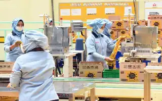 Ketidakpastian Kebijakan Fiskal Meredam Geliat Ekspansi Dunia Usaha
