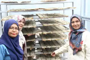 Dorong Daya Saing UMKM, Dosen Unand Implementasikan Teknologi Rumah Pengering di Agam