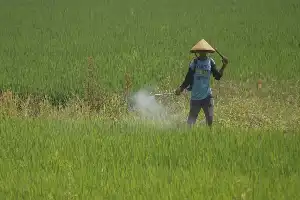 Presiden Prabowo Soroti Peningkatan Kesejahteraan Petani di Puncak Harkopnas ke-79