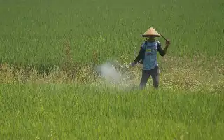 Presiden Prabowo Soroti Peningkatan Kesejahteraan Petani di Puncak Harkopnas ke-79