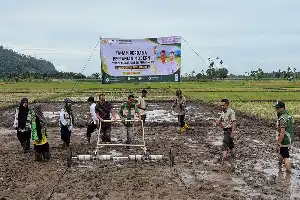 Modernisasi Pertanian Aceh Selatan: Sistem PM-AAS Mulai Diterapkan untuk Genjot Produktivitas Padi