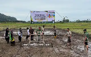 Modernisasi Pertanian Aceh Selatan: Sistem PM-AAS Mulai Diterapkan untuk Genjot Produktivitas Padi