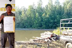 Rambah Hutan Lindung untuk Bisnis, Oknum Penebang Mangrove di Donggala Dilaporkan ke Polisi