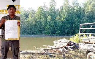 Rambah Hutan Lindung untuk Bisnis, Oknum Penebang Mangrove di Donggala Dilaporkan ke Polisi
