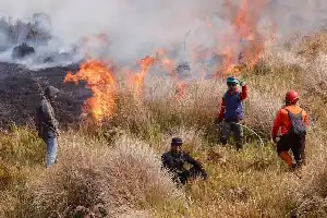 Ubah Paradigma Penanganan Karhutla, Pemerintah Integrasikan Teknologi Satelit dan Restorasi Gambut dari Hulu