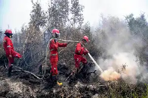 Dampak Karhutla Meluas, Layanan Kesehatan untuk Warga dan Petugas Damkar Diperkuat