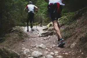 Tren Trail Run: Panduan Lengkap Persiapan Fisik, Perlengkapan, dan Biaya untuk Pemula