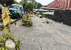 Buntut Penebangan 10 Pohon Peneduh di Jalan Riau, Walkot Bandung Bawa Kasus ke Ranah Pidana Lingkungan