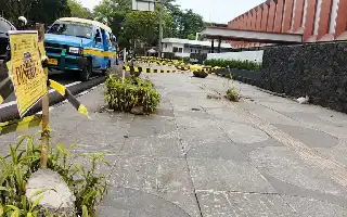 Buntut Penebangan 10 Pohon Peneduh di Jalan Riau, Walkot Bandung Bawa Kasus ke Ranah Pidana Lingkungan