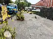 Buntut Penebangan 10 Pohon Peneduh di Jalan Riau, Walkot Bandung Bawa Kasus ke Ranah Pidana Lingkungan