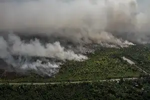 Panduan Mitigasi Dampak Kabut Asap Karhutla untuk Menjaga Kesehatan Anak