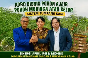 Dorong Ketahanan Pangan, APIKI Kembangkan Model Agribisnis Kelor Berbasis Tumpang Sari