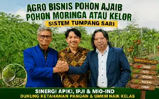 Dorong Ketahanan Pangan, APIKI Kembangkan Model Agribisnis Kelor Berbasis Tumpang Sari