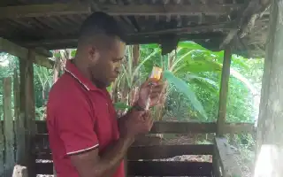 Krisis Tenaga Medis dan Obat-Obatan Hambat Layanan Kesehatan Hewan di Deiyai