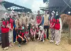 Sinergi Mahasiswa KKN Unhas dan BPP Baranti Dorong Kesehatan Ternak Sapi di Kelurahan Panreng