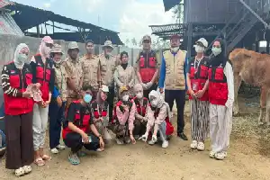 Sinergi Mahasiswa KKN Unhas dan BPP Baranti Dorong Kesehatan Ternak Sapi di Kelurahan Panreng