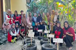 Dorong Kemandirian Kesehatan, Mahasiswa KKN Unhas Revitalisasi Tanaman Obat di Desa Padangloang