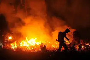 Ancaman Krisis Kebakaran Hutan Global: Degradasi Kualitas Udara dan Dampaknya bagi Kesehatan Publik